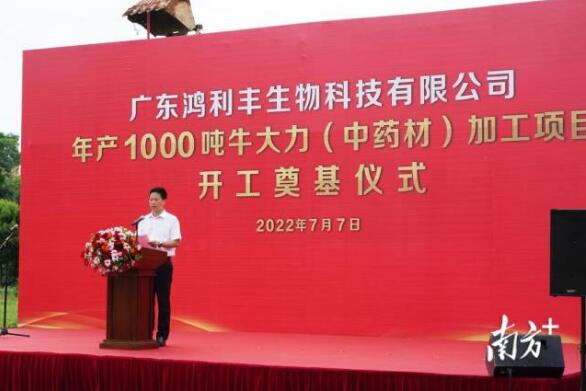 年產(chǎn)1000噸！牛大力（中藥材）加工項(xiàng)目在興寧開(kāi)工奠基